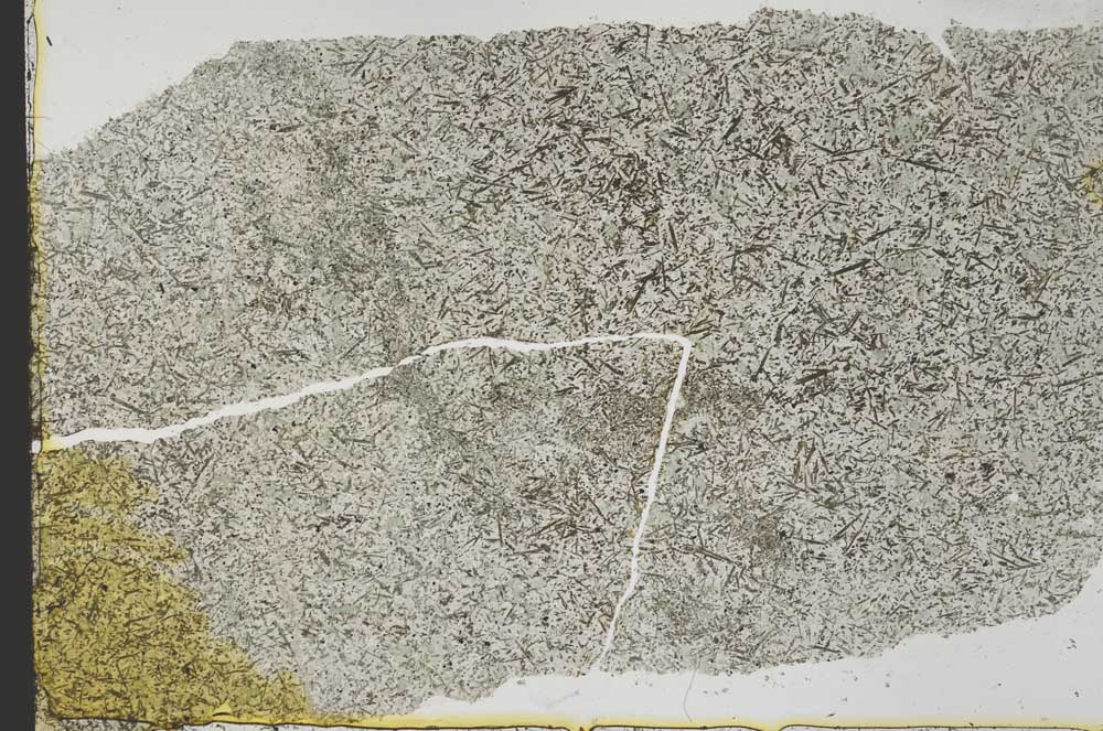 Plane Polarized, S39836