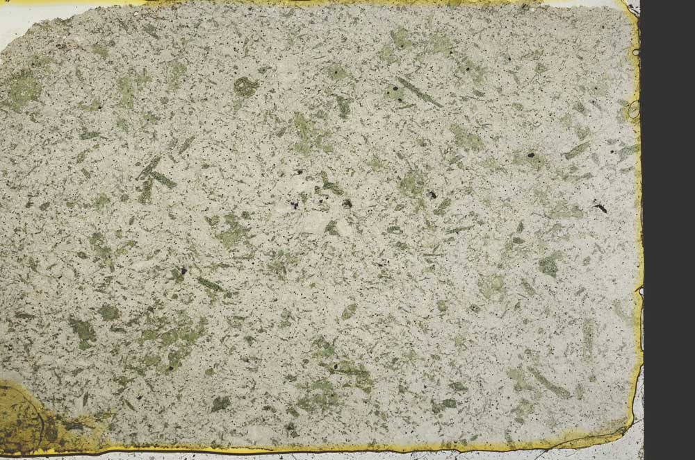 Plane Polarized, S39843