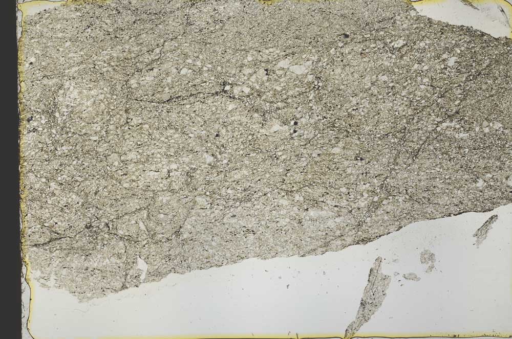 Plane Polarized, S39847