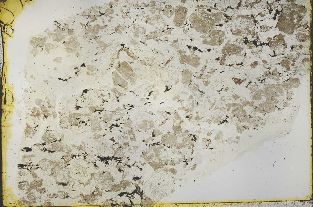 Plane Polarized, S39855