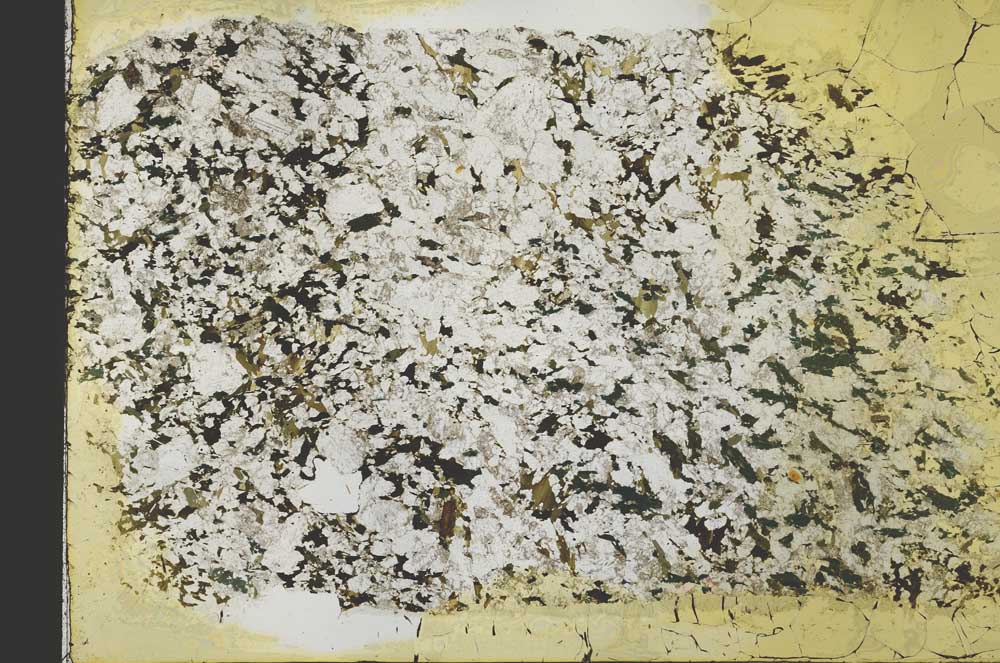 Plane Polarized, S39856