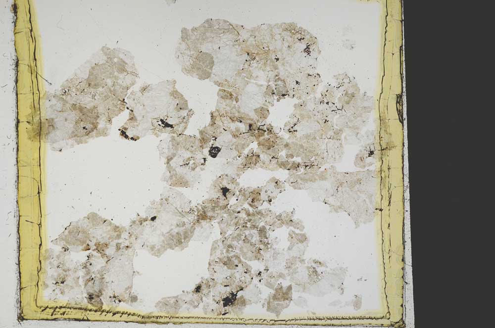 Plane Polarized, S39871