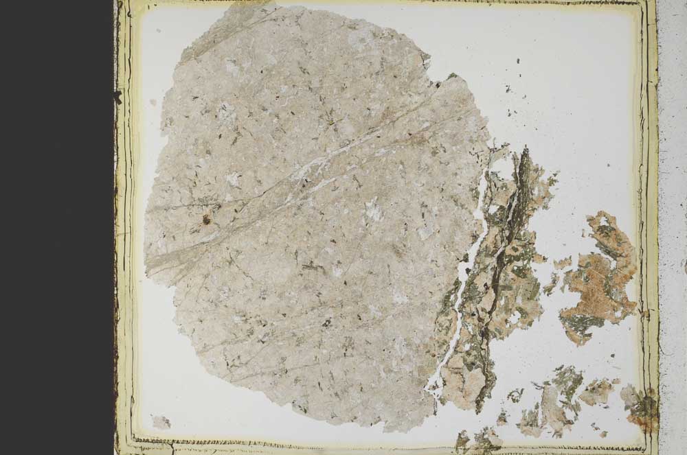 Plane Polarized, S39873