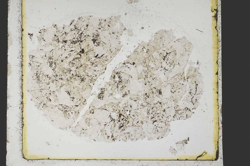 Plane Polarized, S39875