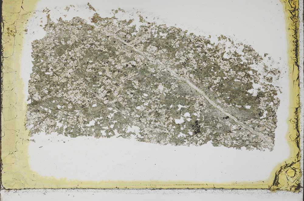 Plane Polarized, S39901