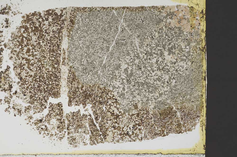 Plane Polarized, S39902