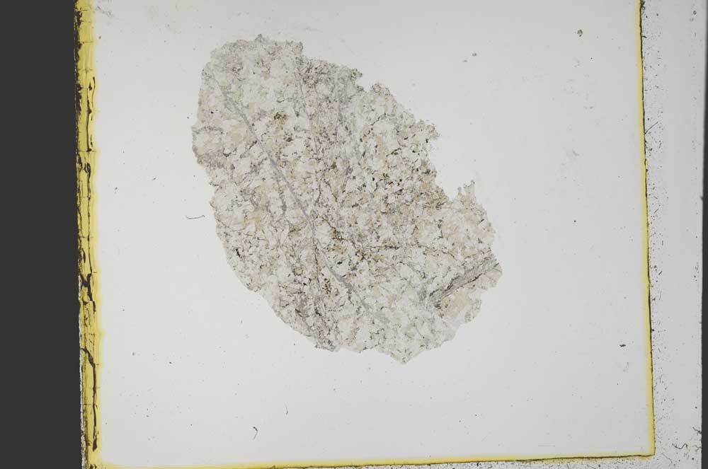 Plane Polarized, S39904