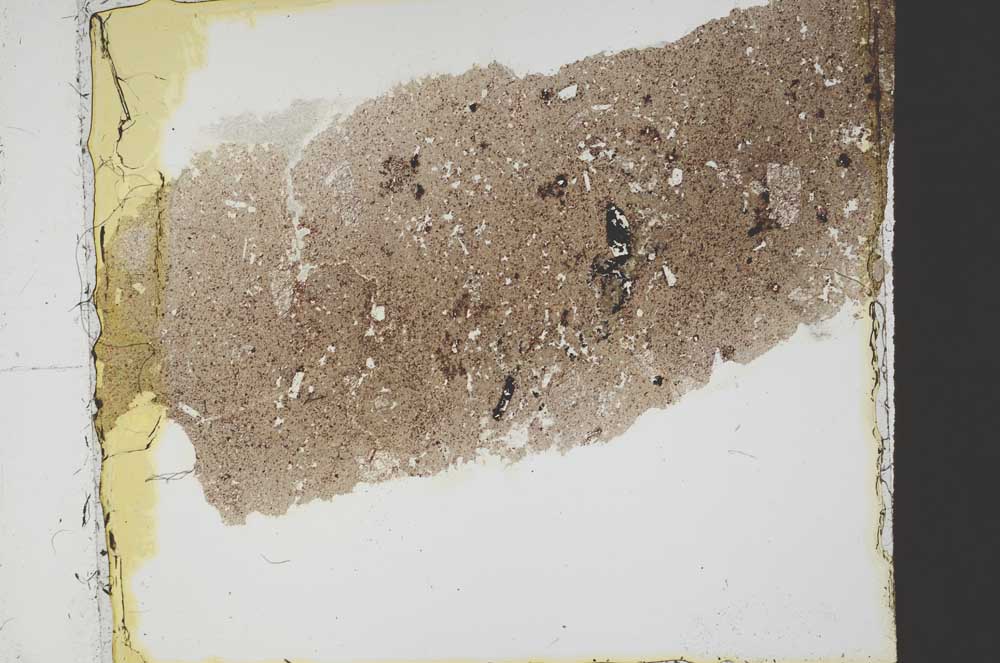 Plane Polarized, S39939