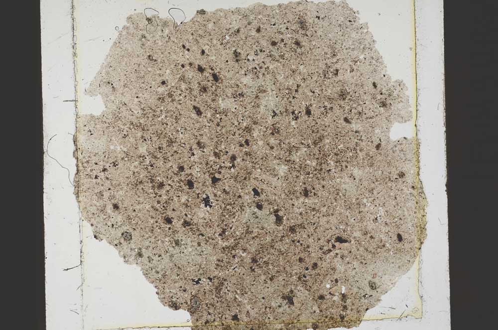 Plane Polarized, S39940