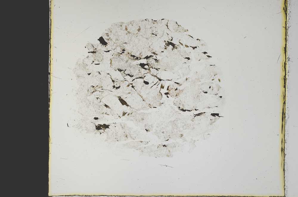 Plane Polarized, S39962