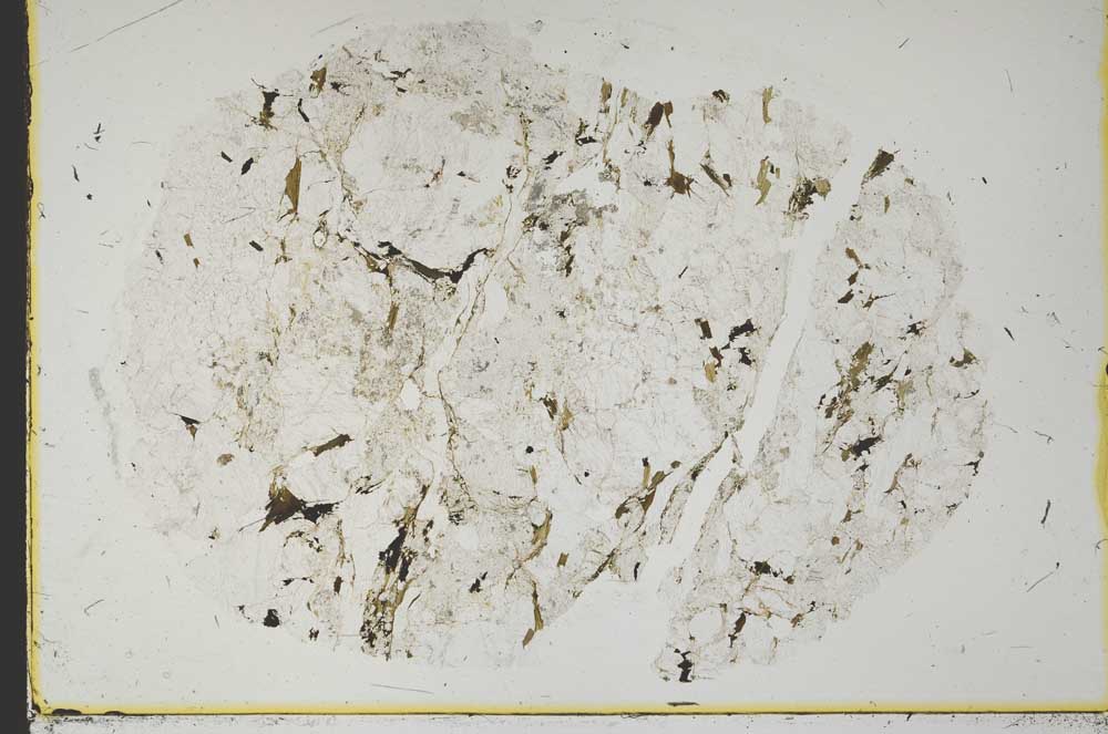 Plane Polarized, S39963