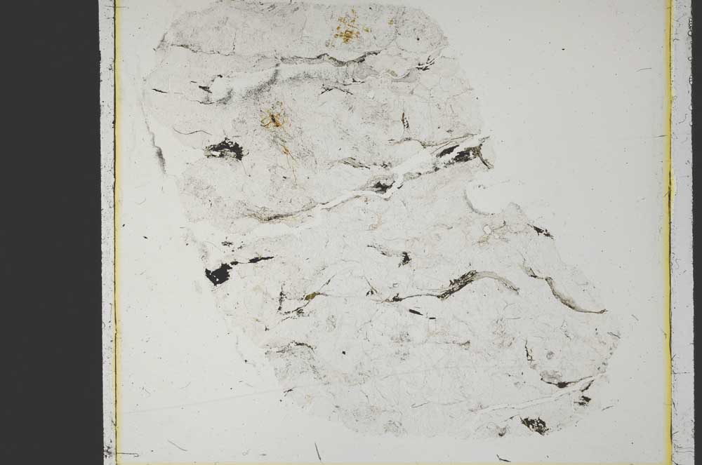 Plane Polarized, S39964