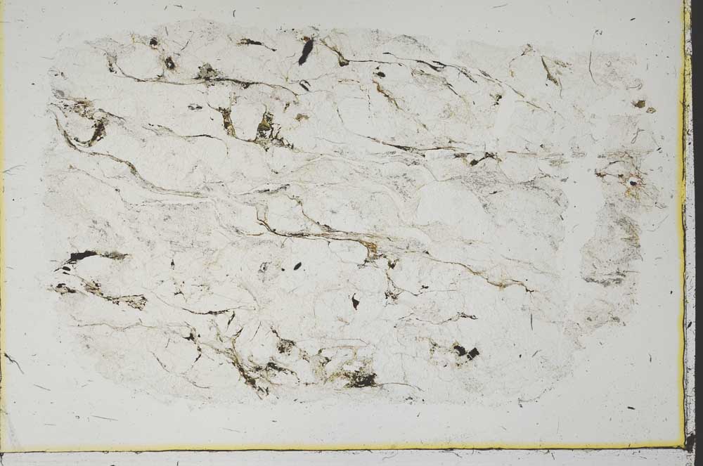 Plane Polarized, S39965