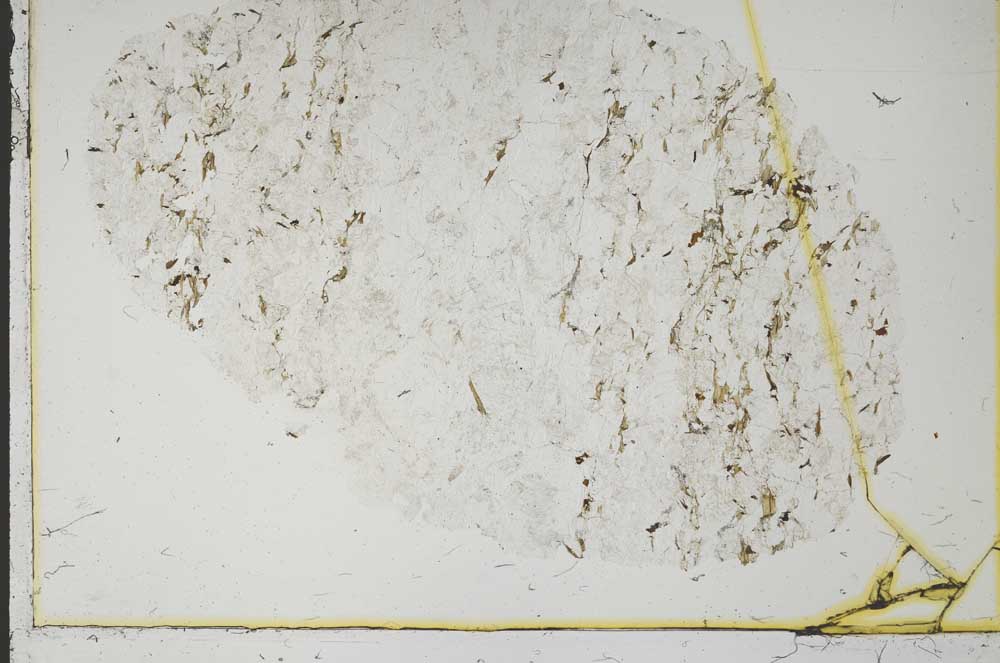 Plane Polarized, S39968