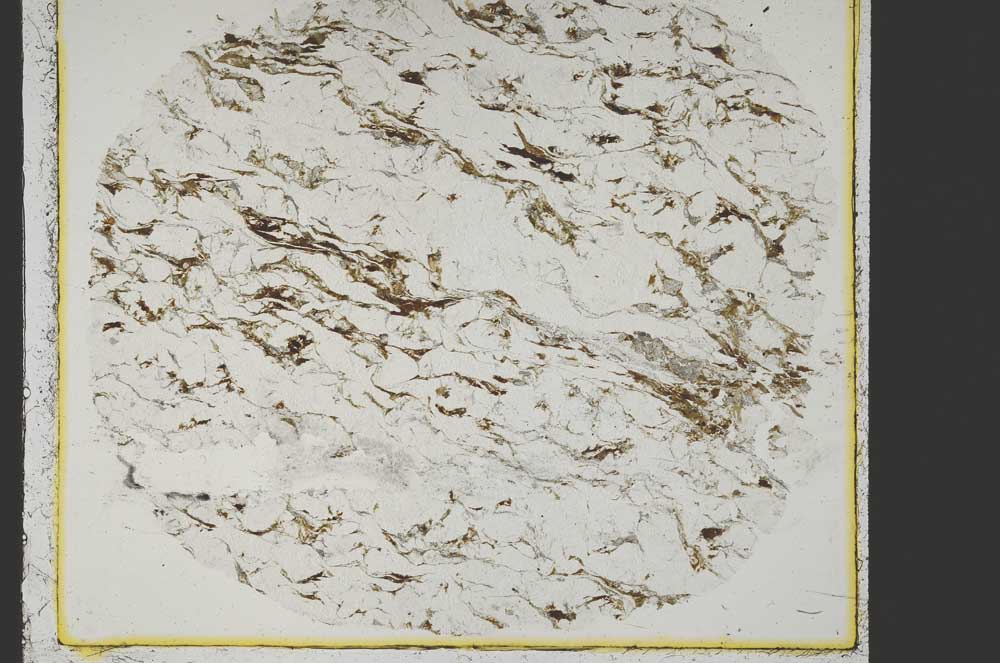 Plane Polarized, S39974