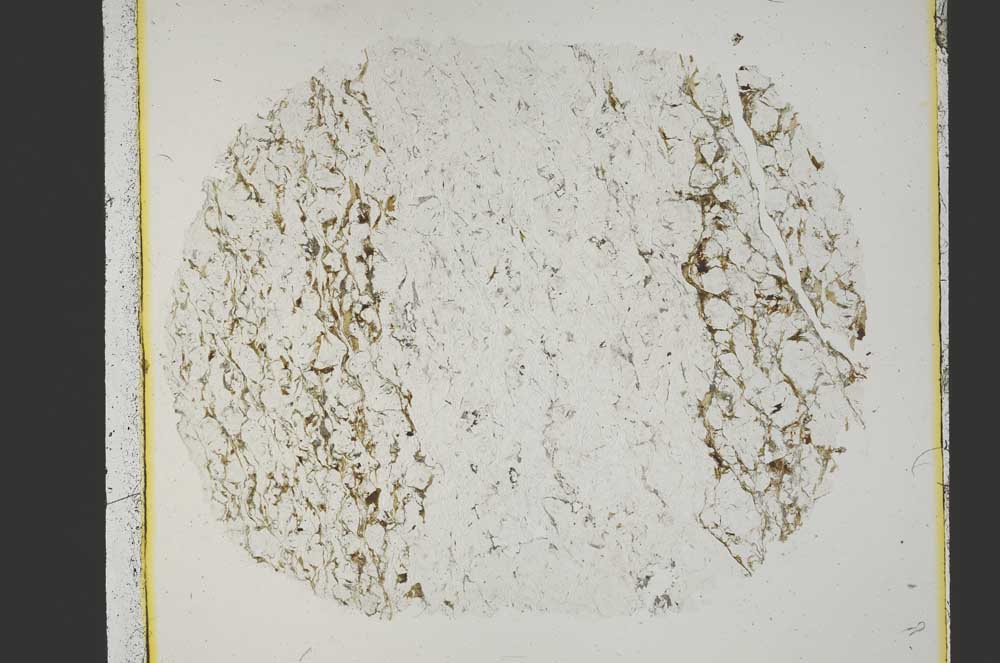 Plane Polarized, S39977