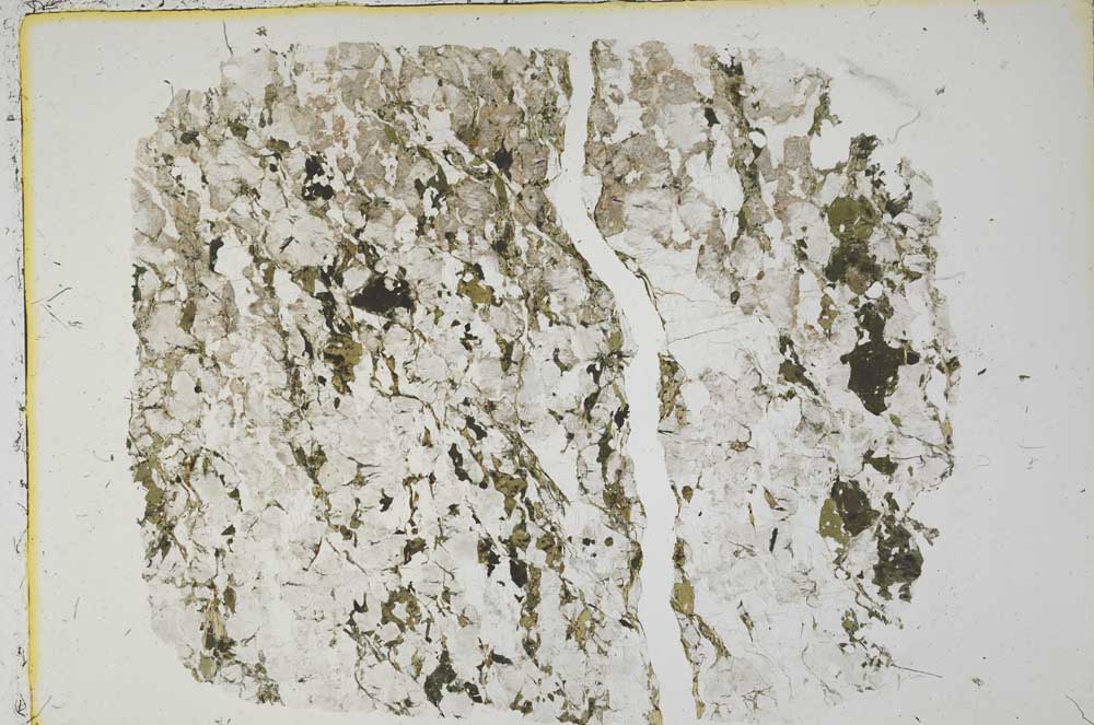 Plane Polarized, S39979