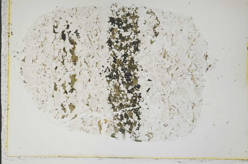 Plane Polarized, S39999