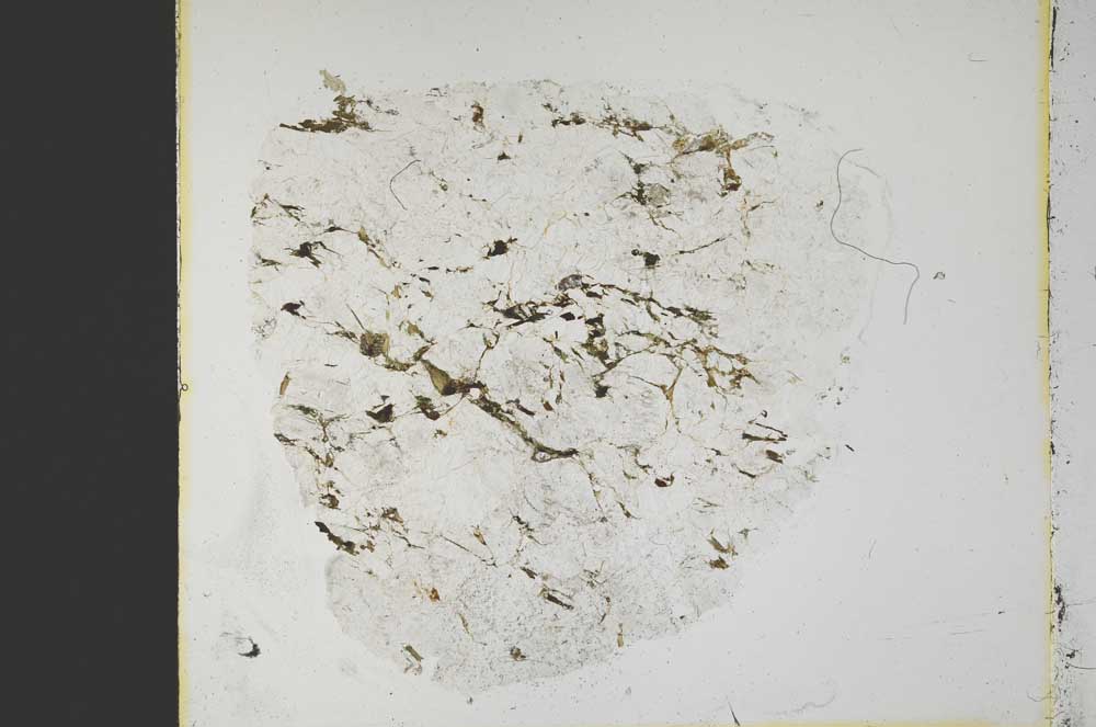 Plane Polarized, S40002