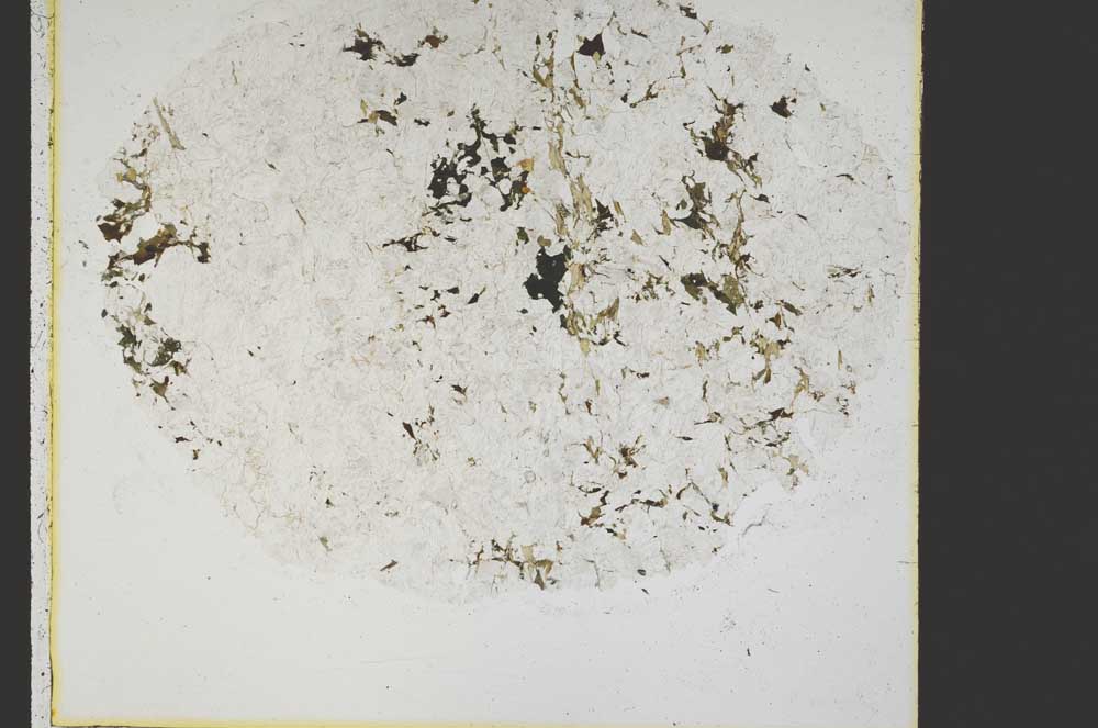 Plane Polarized, S40003