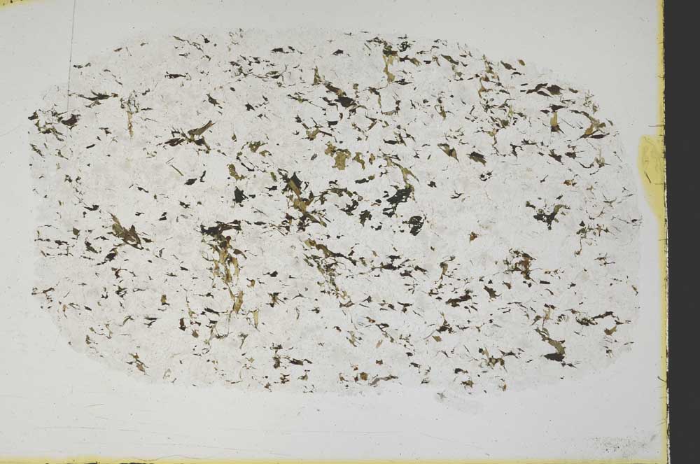 Plane Polarized, S40004