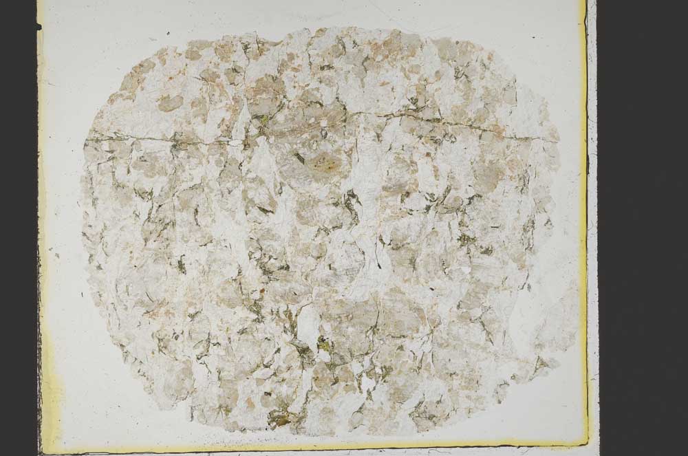 Plane Polarized, S40005