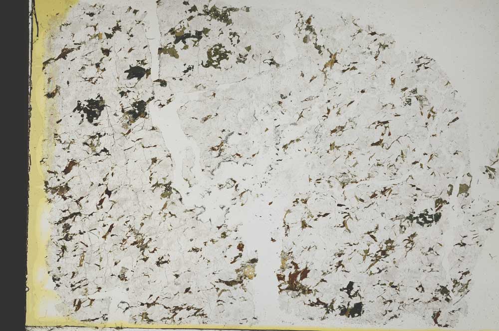 Plane Polarized, S40006