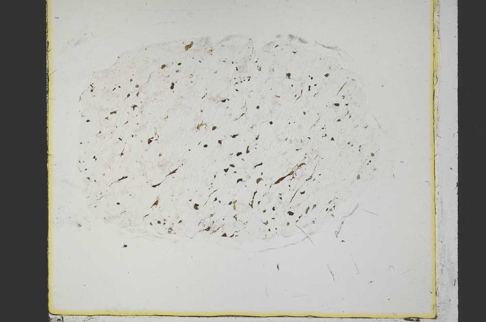 Plane Polarized, S40007