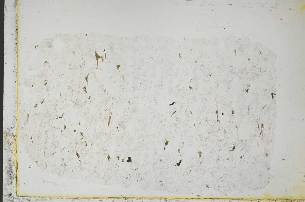 Plane Polarized, S40008