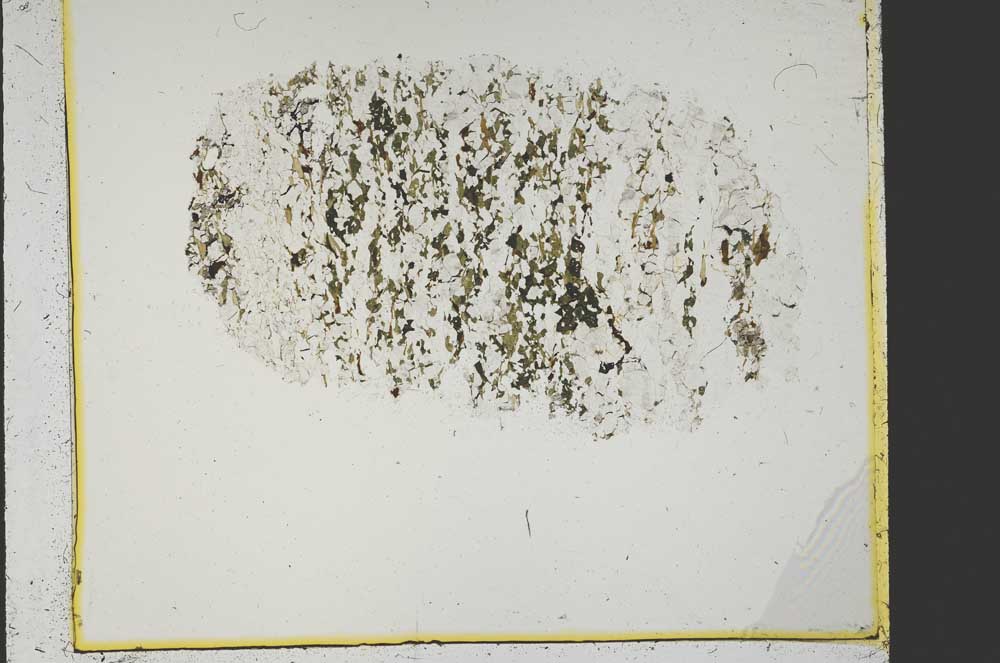 Plane Polarized, S40030