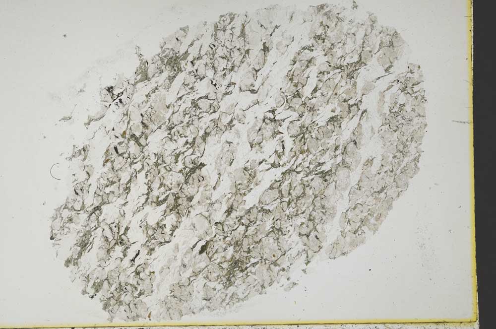 Plane Polarized, S40037