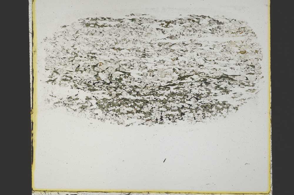 Plane Polarized, S40038