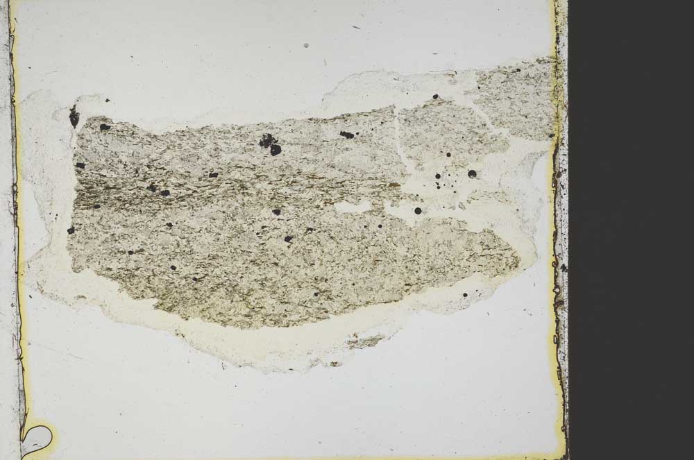 Plane Polarized, S40082