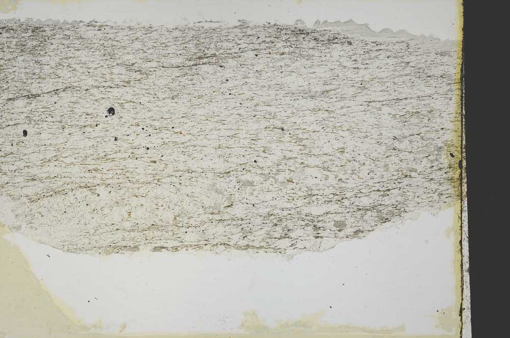 Plane Polarized, S40083