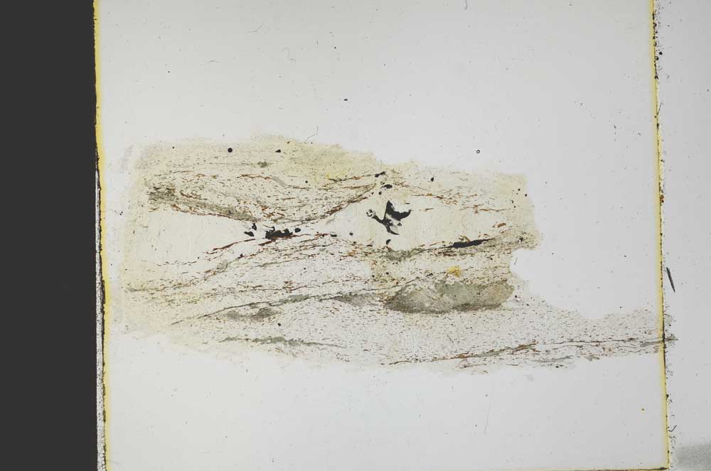 Plane Polarized, S40084