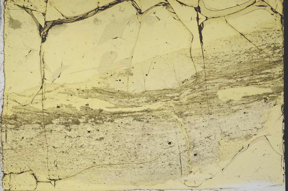 Plane Polarized, S40087