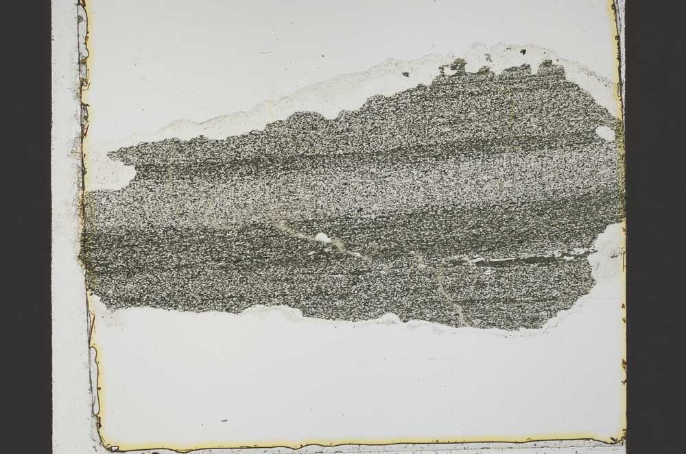 Plane Polarized, S40088