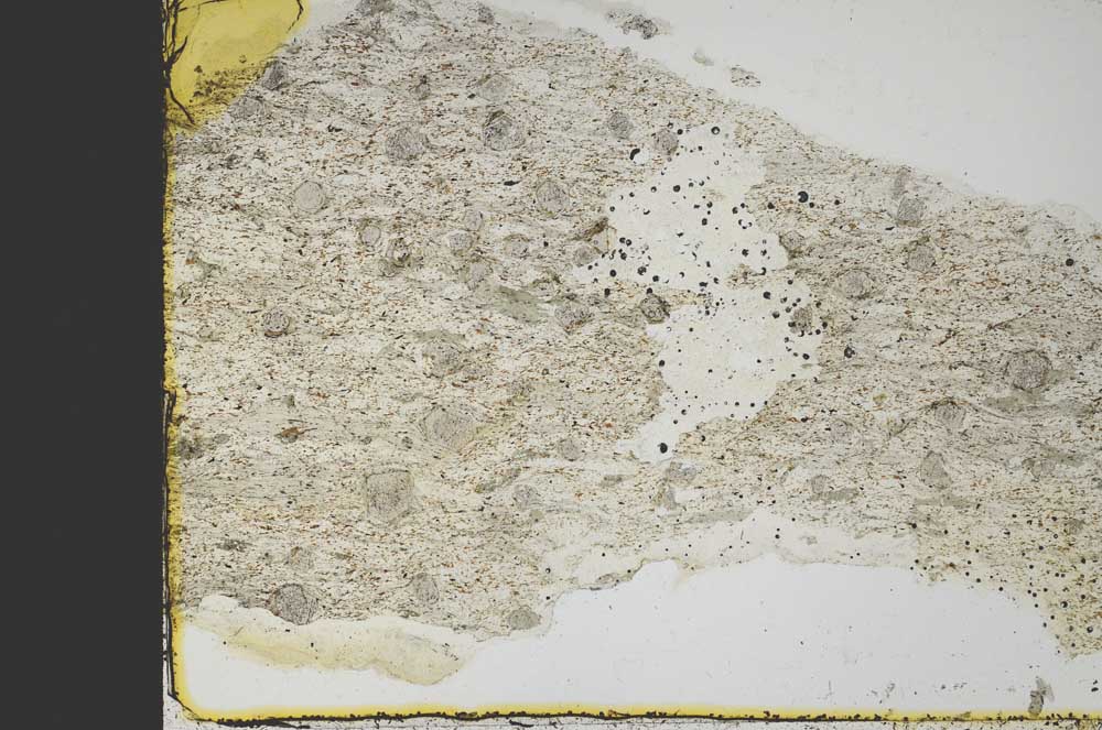 Plane Polarized, S40089