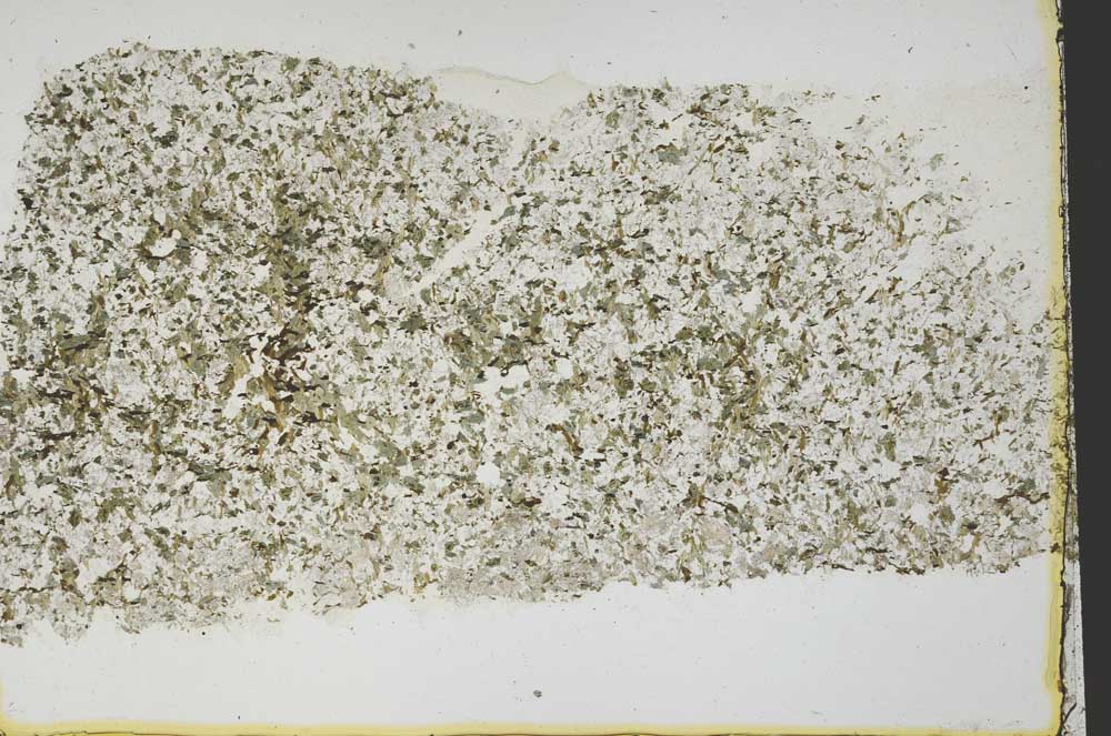 Plane Polarized, S40092