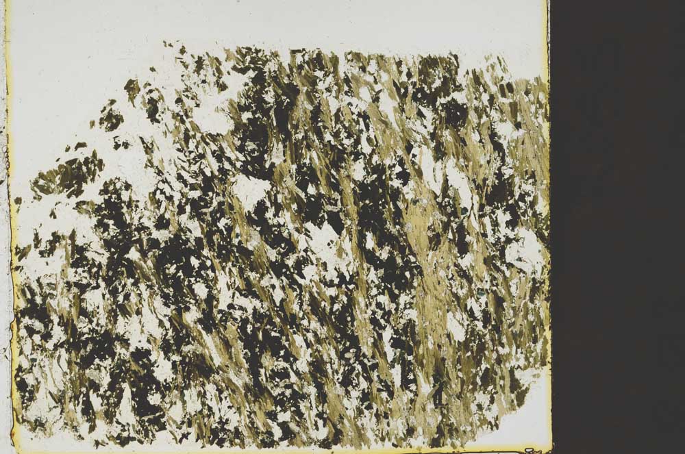 Plane Polarized, S40096