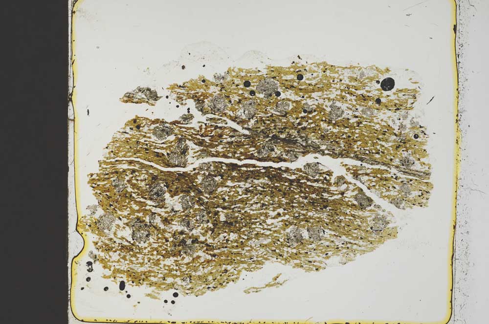 Plane Polarized, S40103