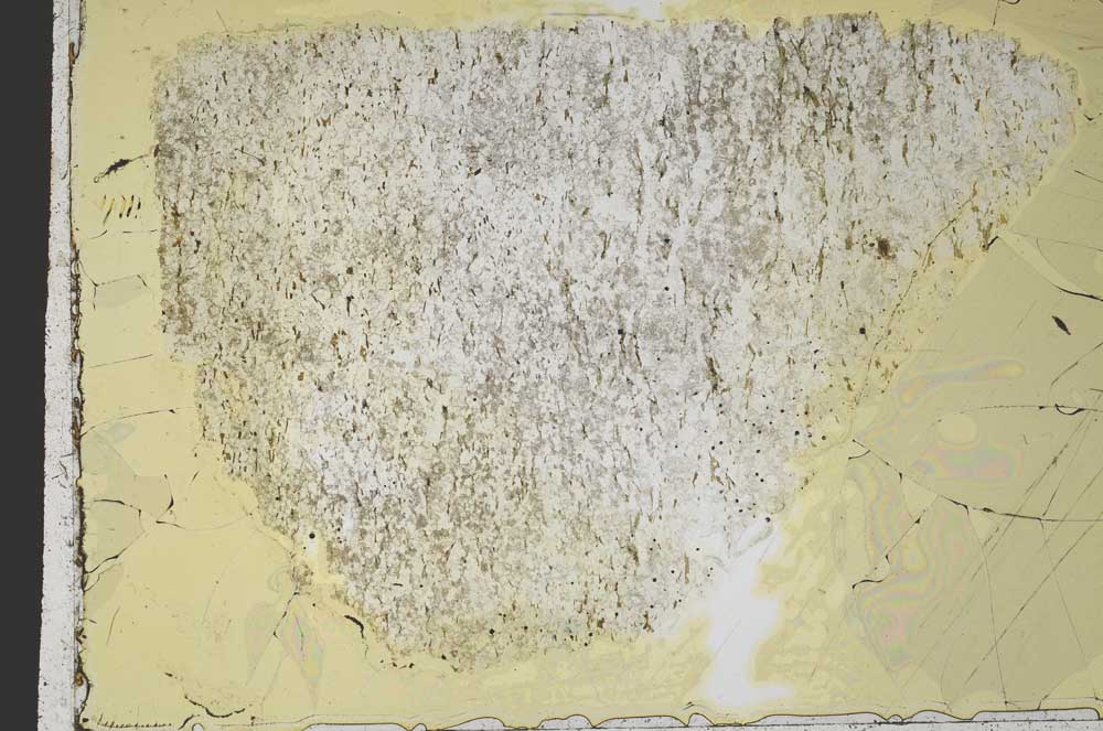Plane Polarized, S40105