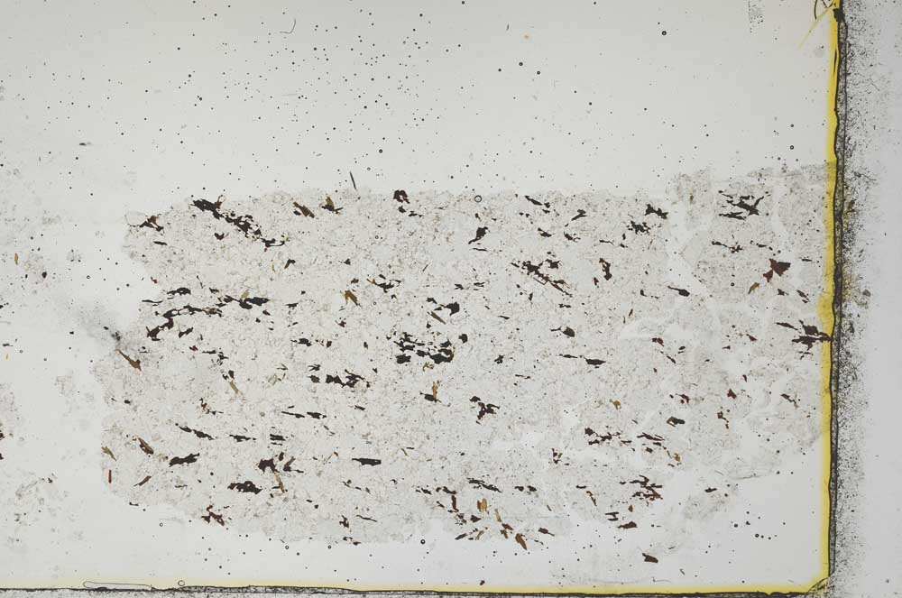 Plane Polarized, S40115