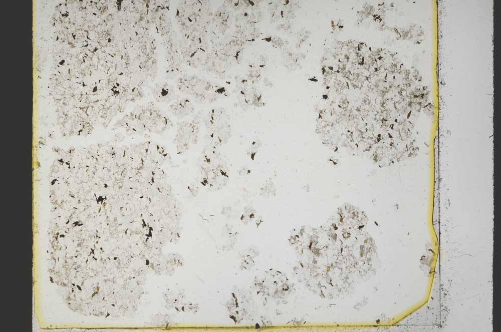 Plane Polarized, S40121