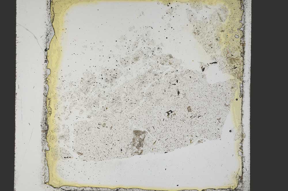 Plane Polarized, S40122