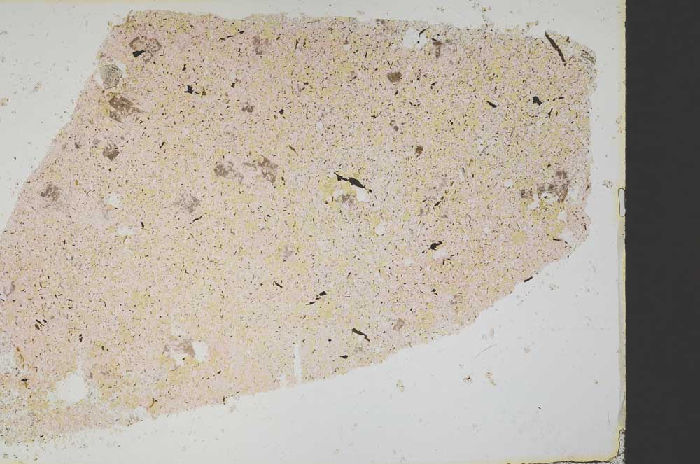 Plane Polarized, S40122/A