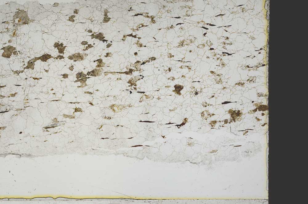 Plane Polarized, S40127