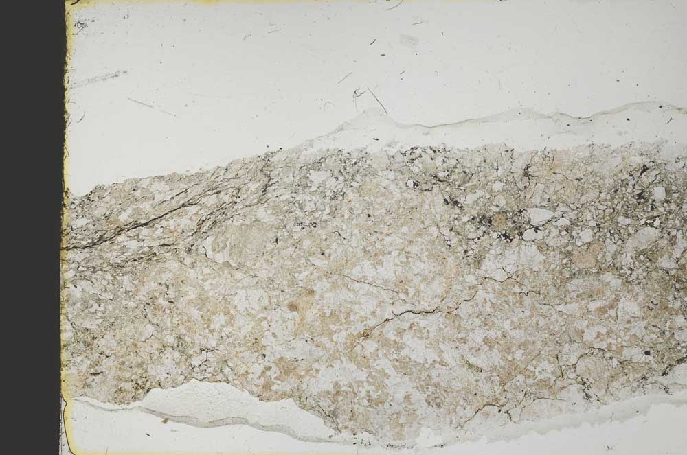 Plane Polarized, S40130