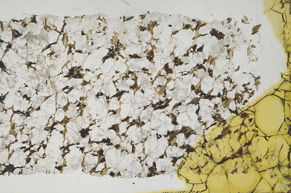 Plane Polarized, S40133