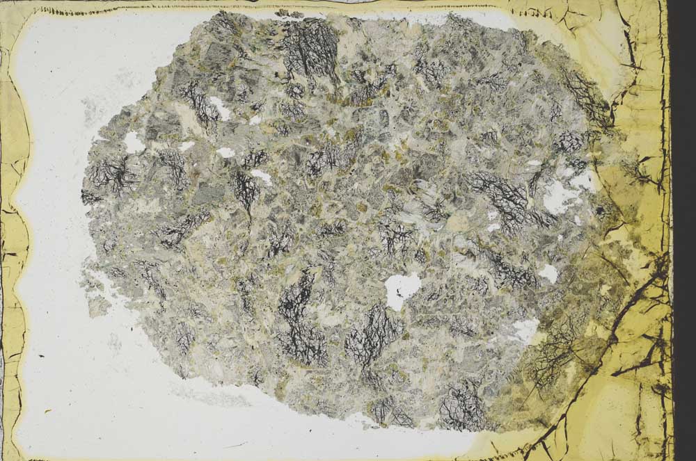 Plane Polarized, S40136